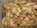 fresh ginger 1