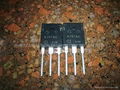 diodes IKW75N60T 2