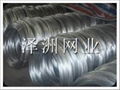 Galvanized Wire