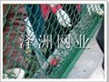 Diamond shape wire mesh