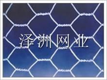 Hexagonal Iron Wire Netting 2