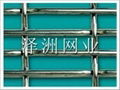 Crimped Wire Mesh