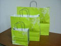Shopping Bag 2