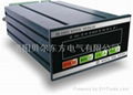 XK3110-E Weighing Batch Controller 1