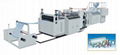 PP Transparent Sheet Production Line  1