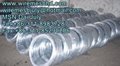 electro galvanized iron wire(manufacturer)