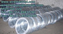 electro galvanized iron wire(manufacturer)