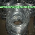 hot dipped galvanized iron wire(manufacturer) 2