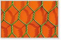 Hexagonal Wire Netting