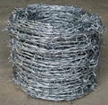 Barbed Wire