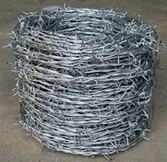 Barbed Wire