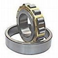 Cylindrical roller bearing 1