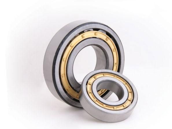 Cylindrical roller bearing 5