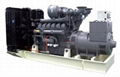 Perkins diesel generator 1