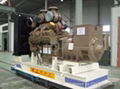 Cummins diesel generator 1