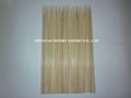 Bamboo skewer 1