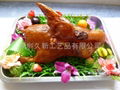 Shenzhen model for professional food