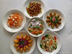 中餐食品菜模