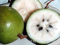 star apple or milk fruit