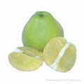 pomelo 1