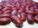 kidney beans