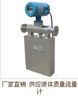 Plant specifically for manufacturers of Coriolis force mass flowmeter 2