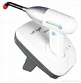 Dental cordless curing light