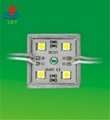 Beta Series >> 4-SMD 5050 water proof