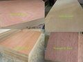 3-30mm plywood timber poplar core with difference wood paper