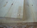 Fir Finger Jointed Boards 4