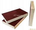 Construction Plywood/building template