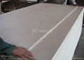 2-40mm*1220*2440 Poplar Plywood with difference veneer 1