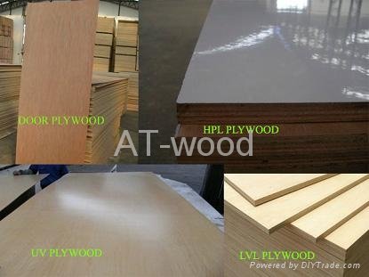 2-40mm*1220*2440 Poplar Plywood with difference veneer 2