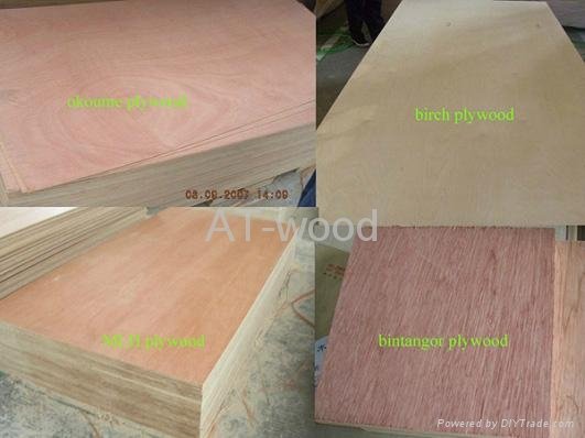 2-40mm*1220*2440 Poplar Plywood with difference veneer 3