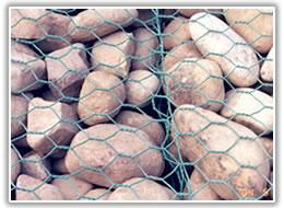 PVC coated hexagonal wire mesh 5