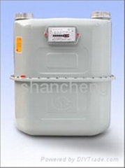 gas meter G10