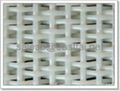 Polyester Dryer Fabrics/Dryer Screen in Paper Processing Machinery 2