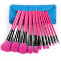 12PCS Cosmetic Natural peach red pro
