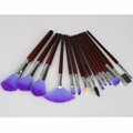 Hot Noble&elegant 16pc Pro Cosmetic Makeup Brush Brushes Set Kit W/Purple Bag  3