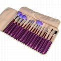 Hot Noble&elegant 16pc Pro Cosmetic Makeup Brush Brushes Set Kit W/Purple Bag  4