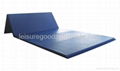 Gymnastic mat 1