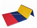 Gymnastic mat 2