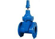 BS 5163 Non-rising Resilient Seated Gate Valve G4563