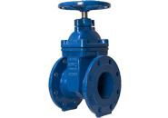 BS 5163 PN25 Non-rising Resilient Seated Gate Valve G4563-PN25