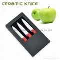 ceramic knife 1