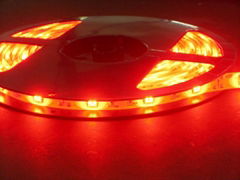 With flexible LED lights