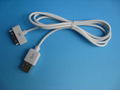 蘋果USB線 1