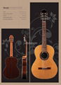 Altamira classical guitar 1