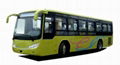 city bus 1