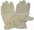 Pig Grain Leather Driver gloves